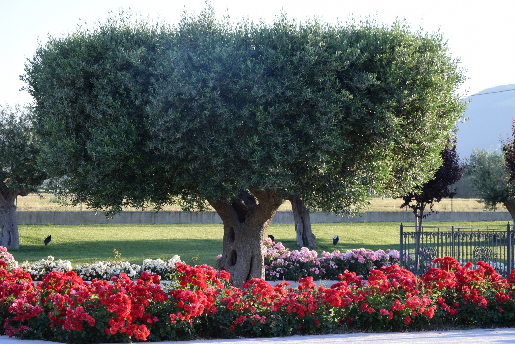 Postiglione Country House - foto 2