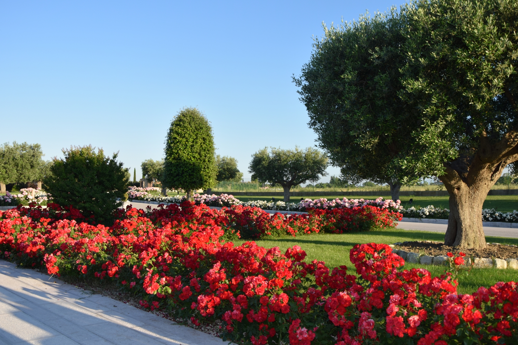 Postiglione Country House - foto 5