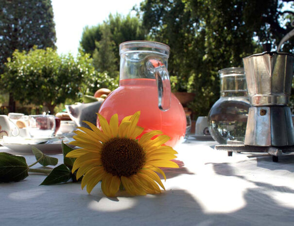 Tenuta del Viandante - foto 4