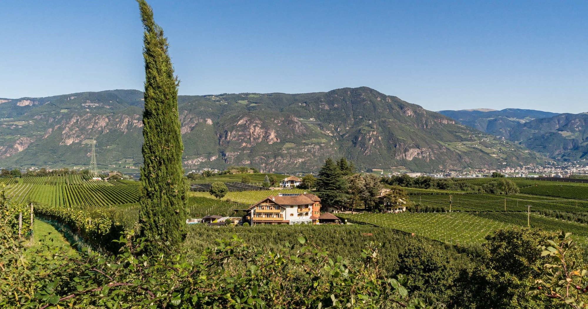 Lingers Suites & Residence - foto 5