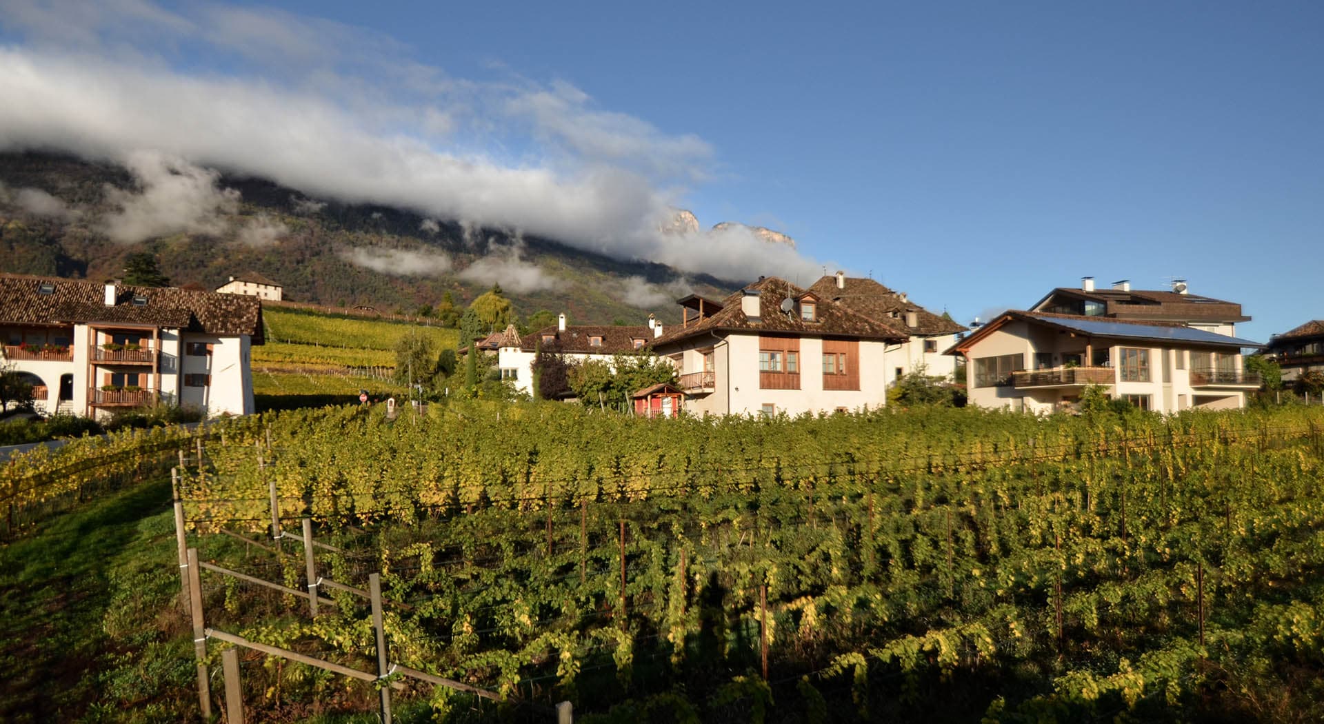 Pizzol Hof foto 4