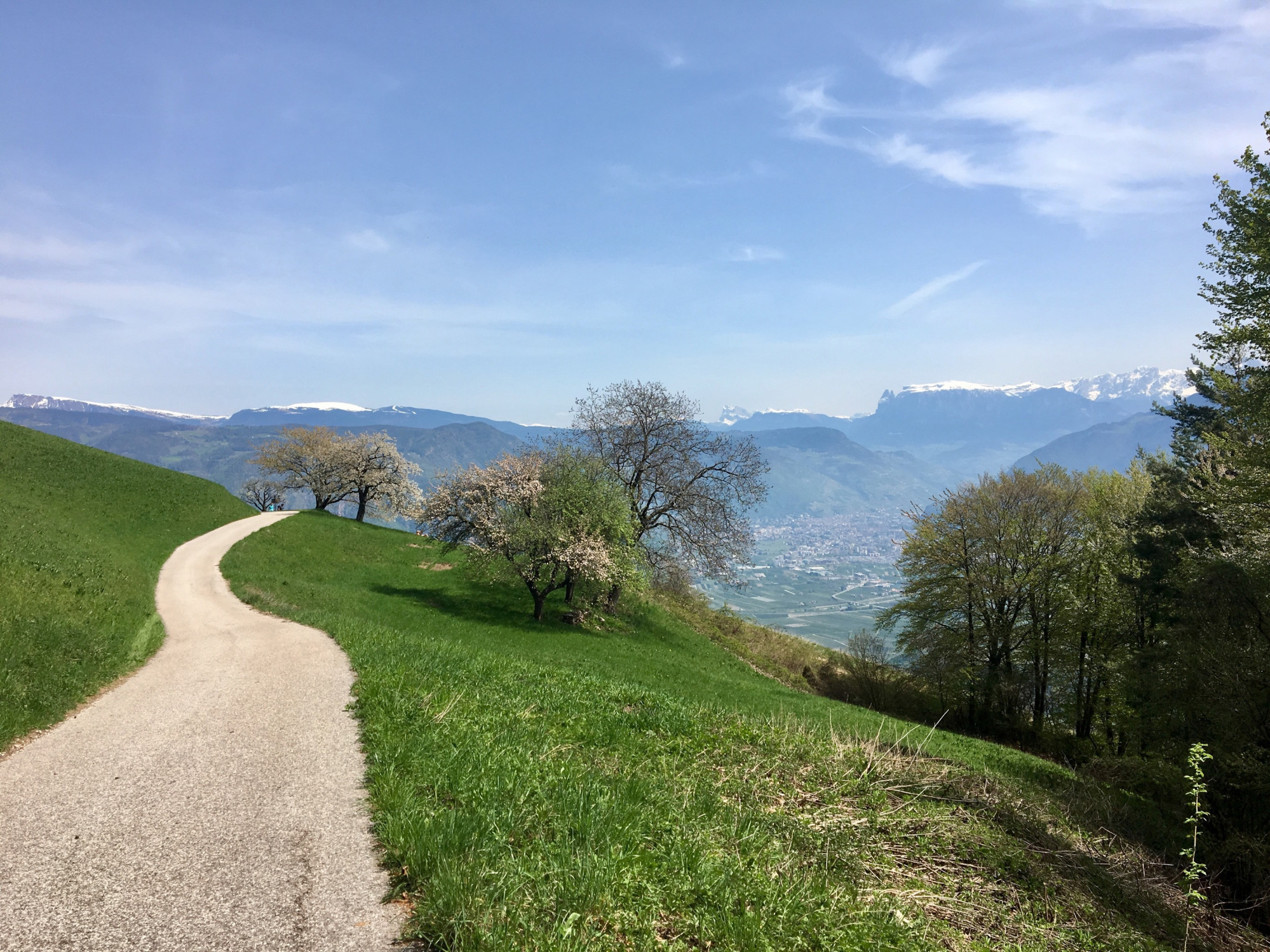 Schloss-Hof - foto 1