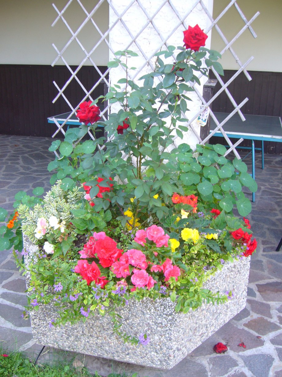 Hotel WASTL Albergo - foto 3