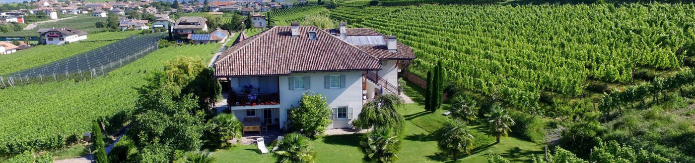 Weinhof Mumelter - foto 1