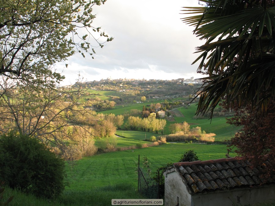 Agriturismo Floriani - foto 6