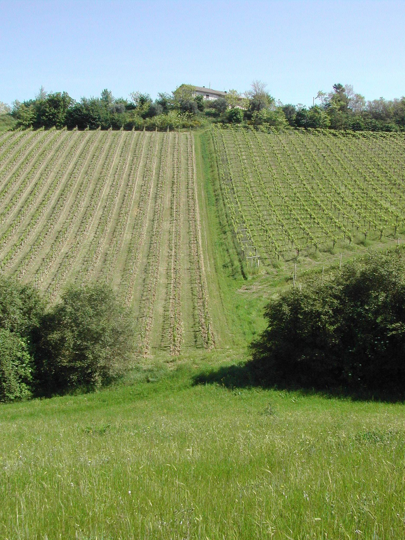 Agriturismo Casa Rosa - foto 3