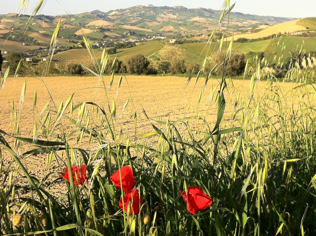 Agriturismo Casa Rosa - foto 5