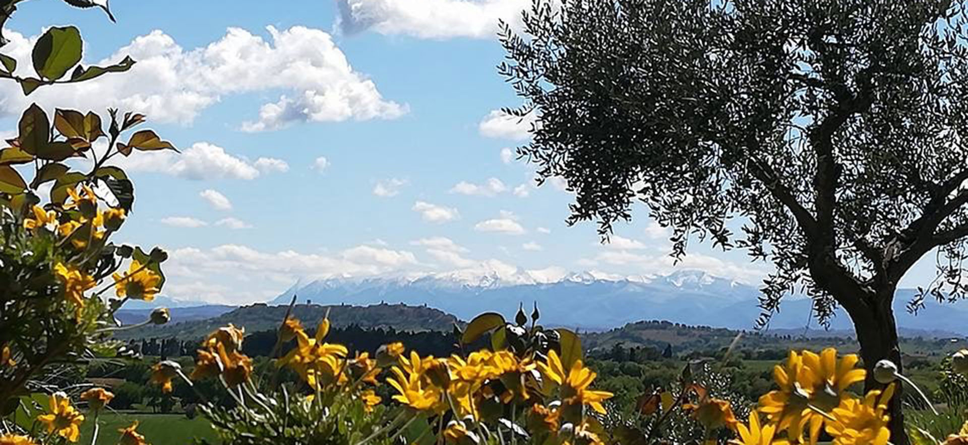 AGRITURISMO IL CONFINE - Treia - Marche - foto 5