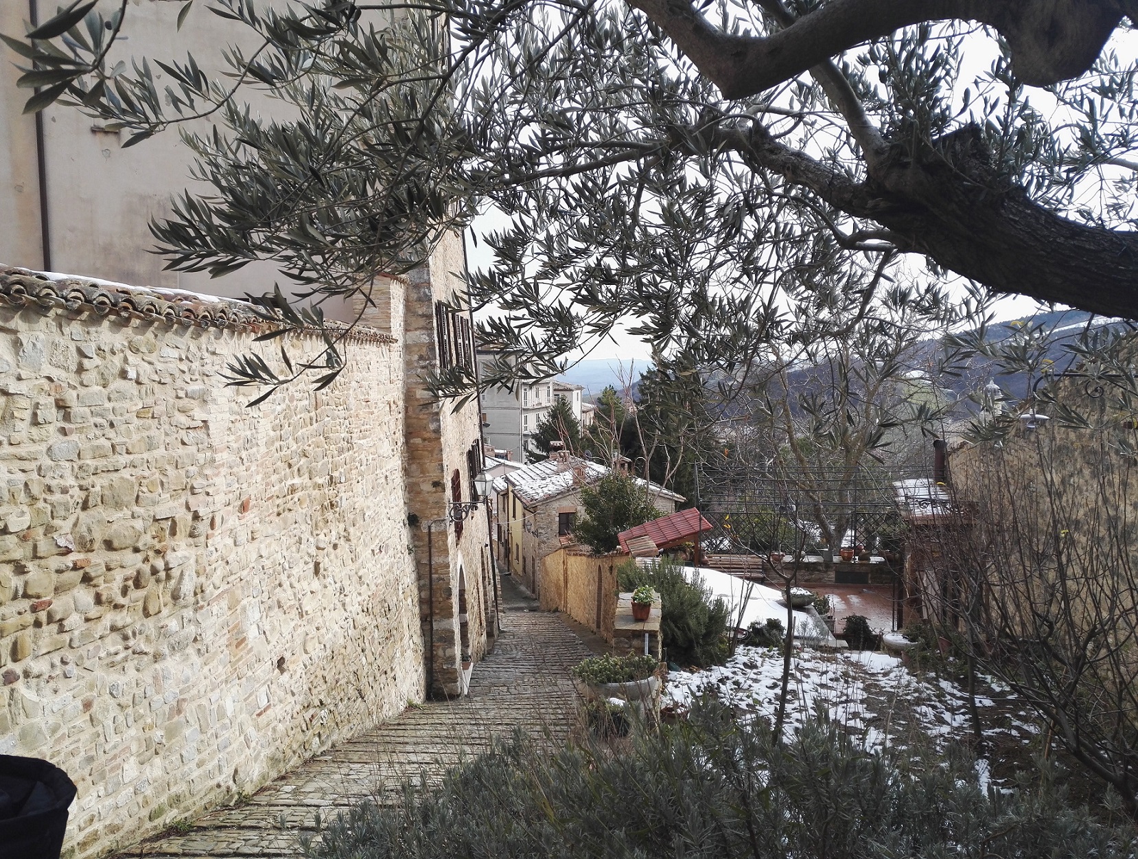 B&B - Il nido delle rondini foto 4