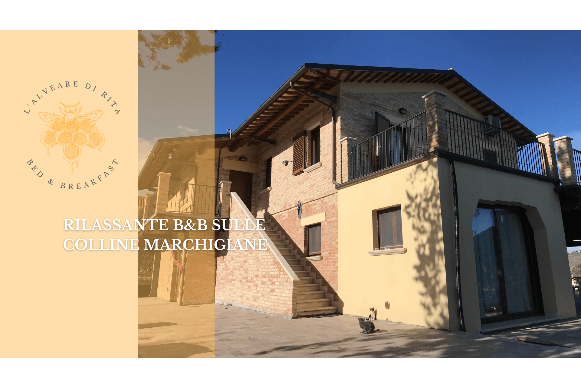 B&B Alveare di Rita - foto 5