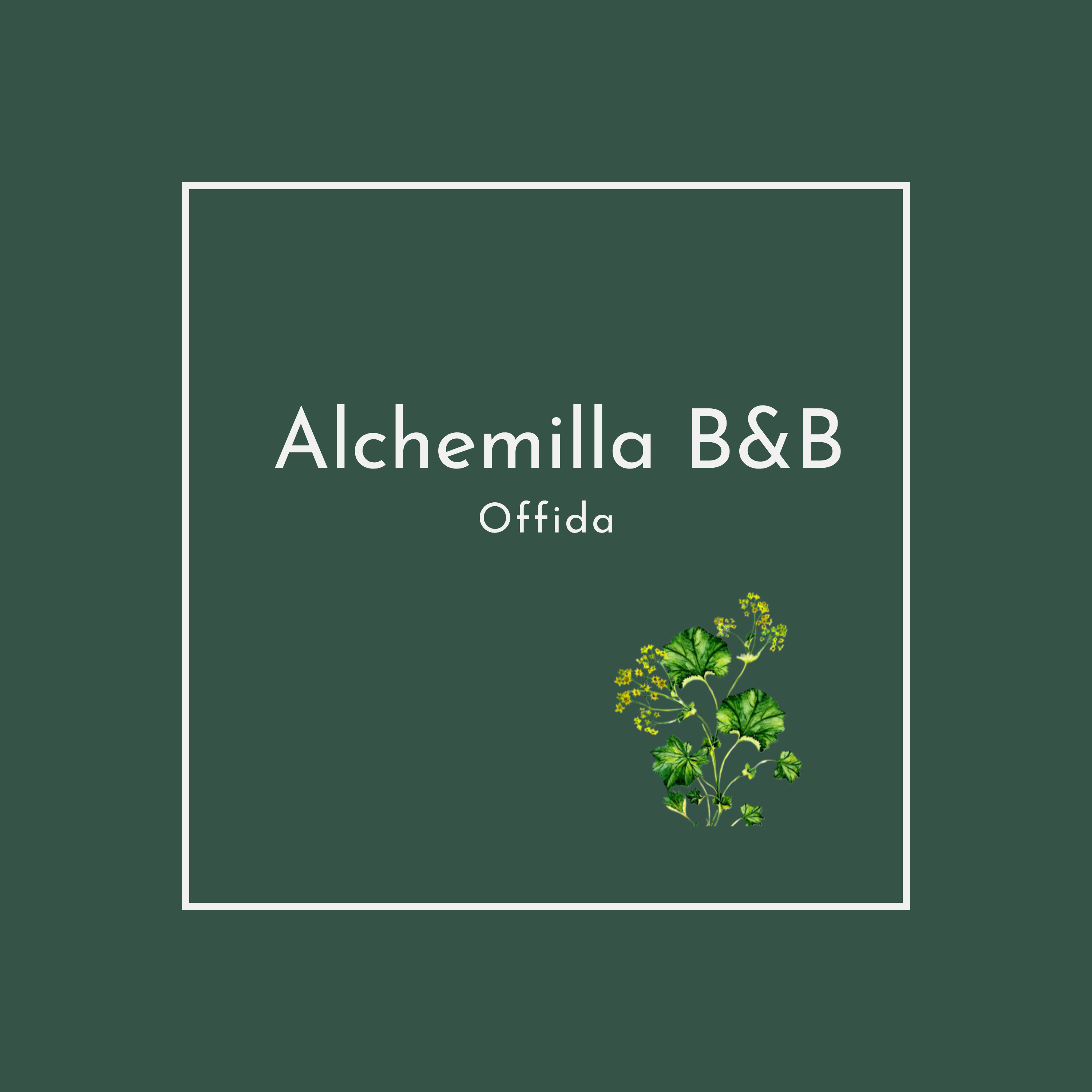 Alchemilla B&B Offida - foto 3