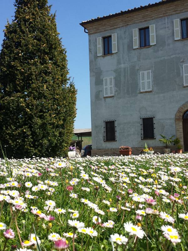 B&B Antica Fonte del Latte - foto 5
