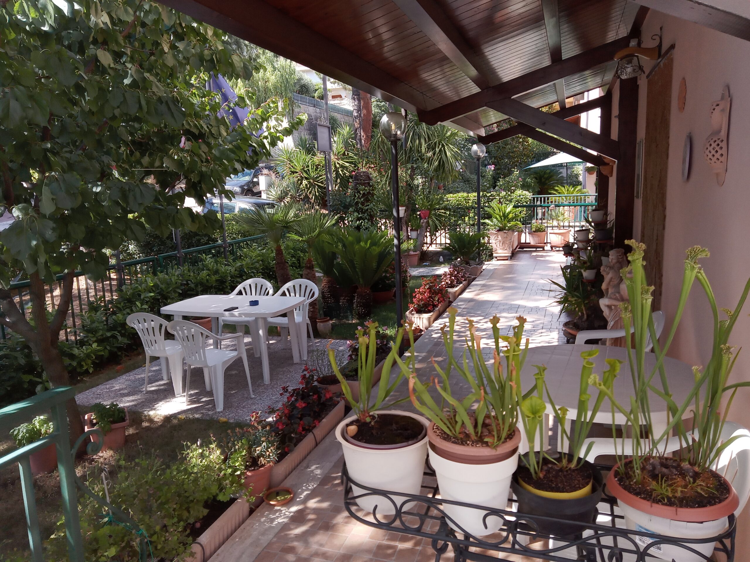 B&B Le Begonie - foto 1