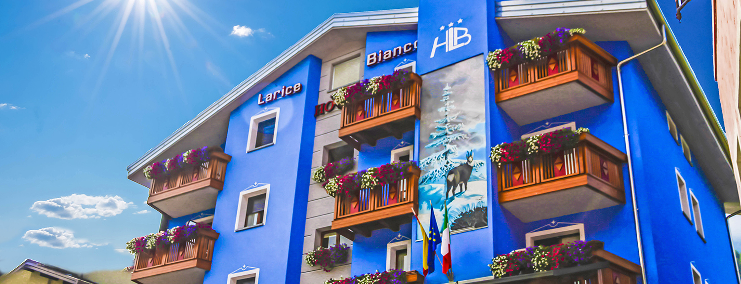 Hotel Larice Bianco - foto 5