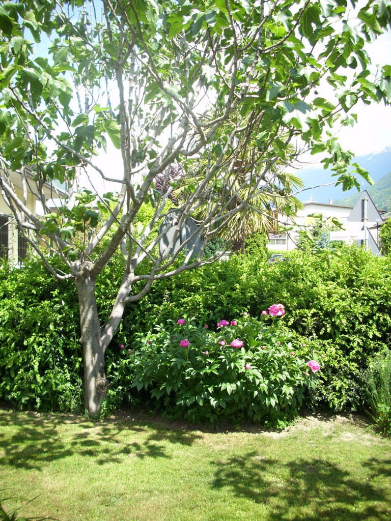 B&B PORTA 54 - foto 3