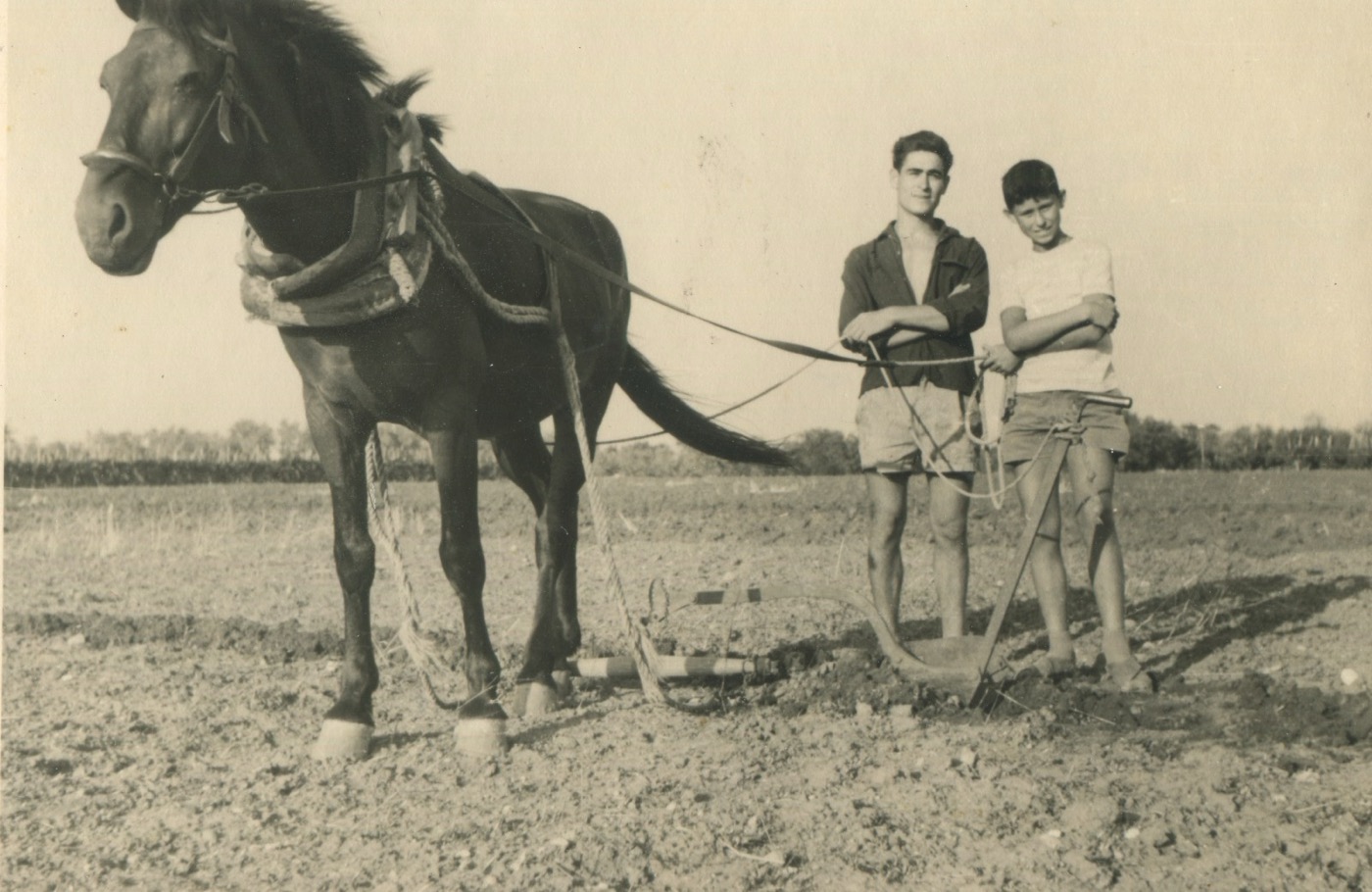 Agricola Piano - foto 3