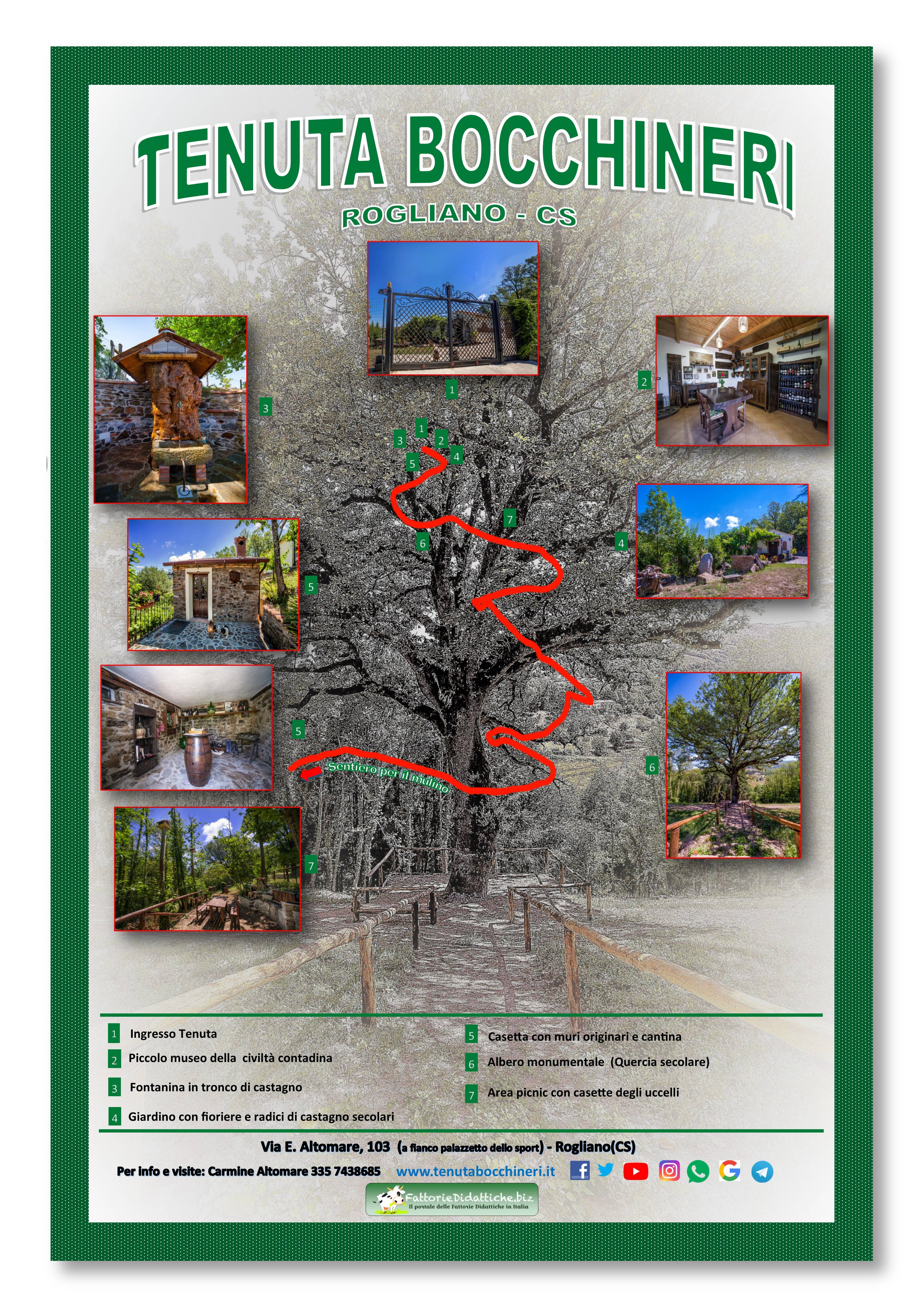Casa sull'albero - foto 1