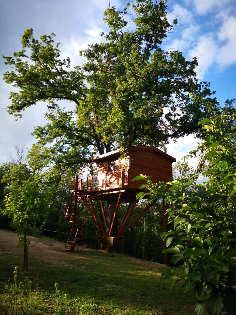 Casa sull'albero - foto 5