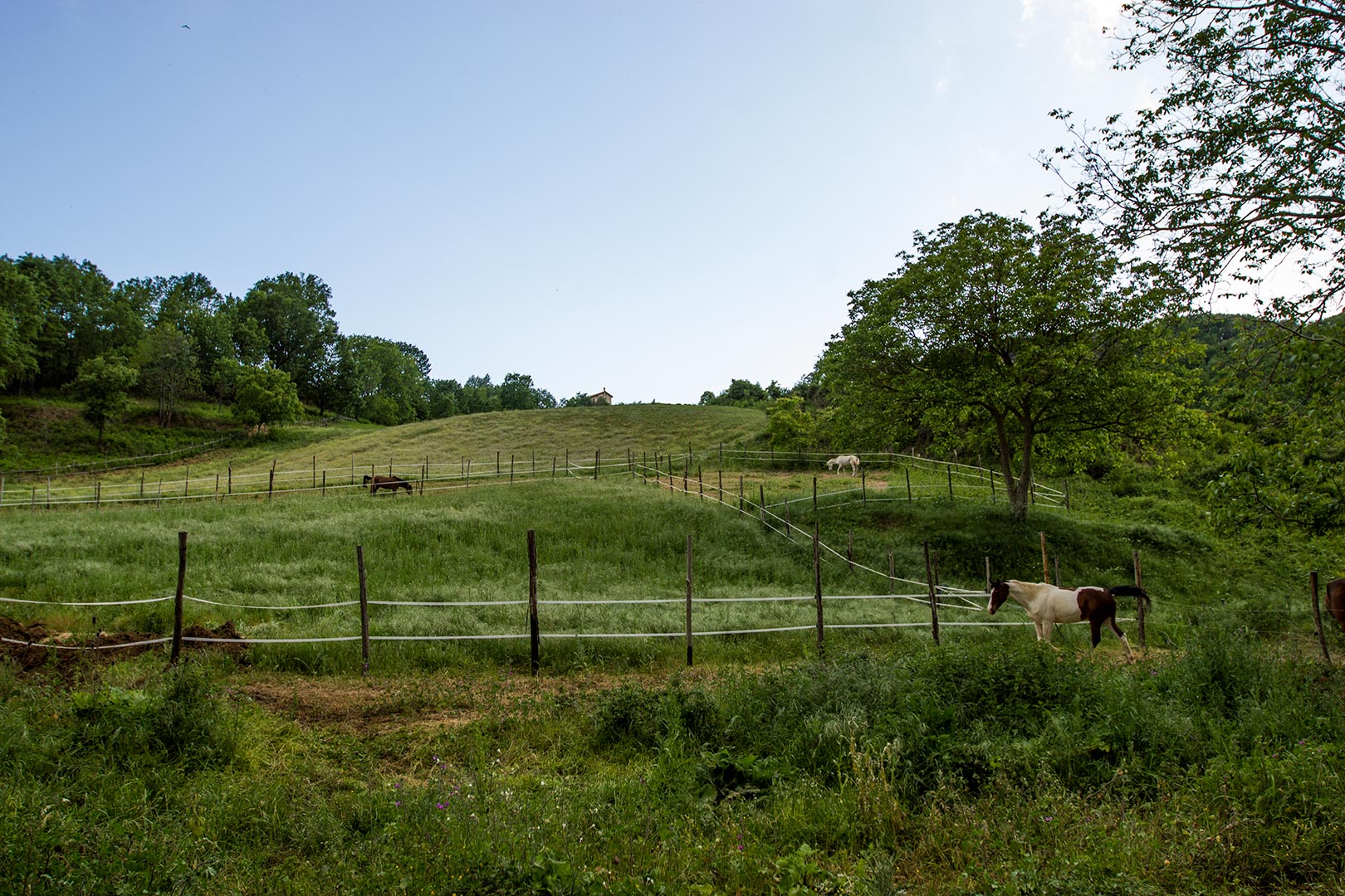Agriturismo Borgo Serafino - foto 5