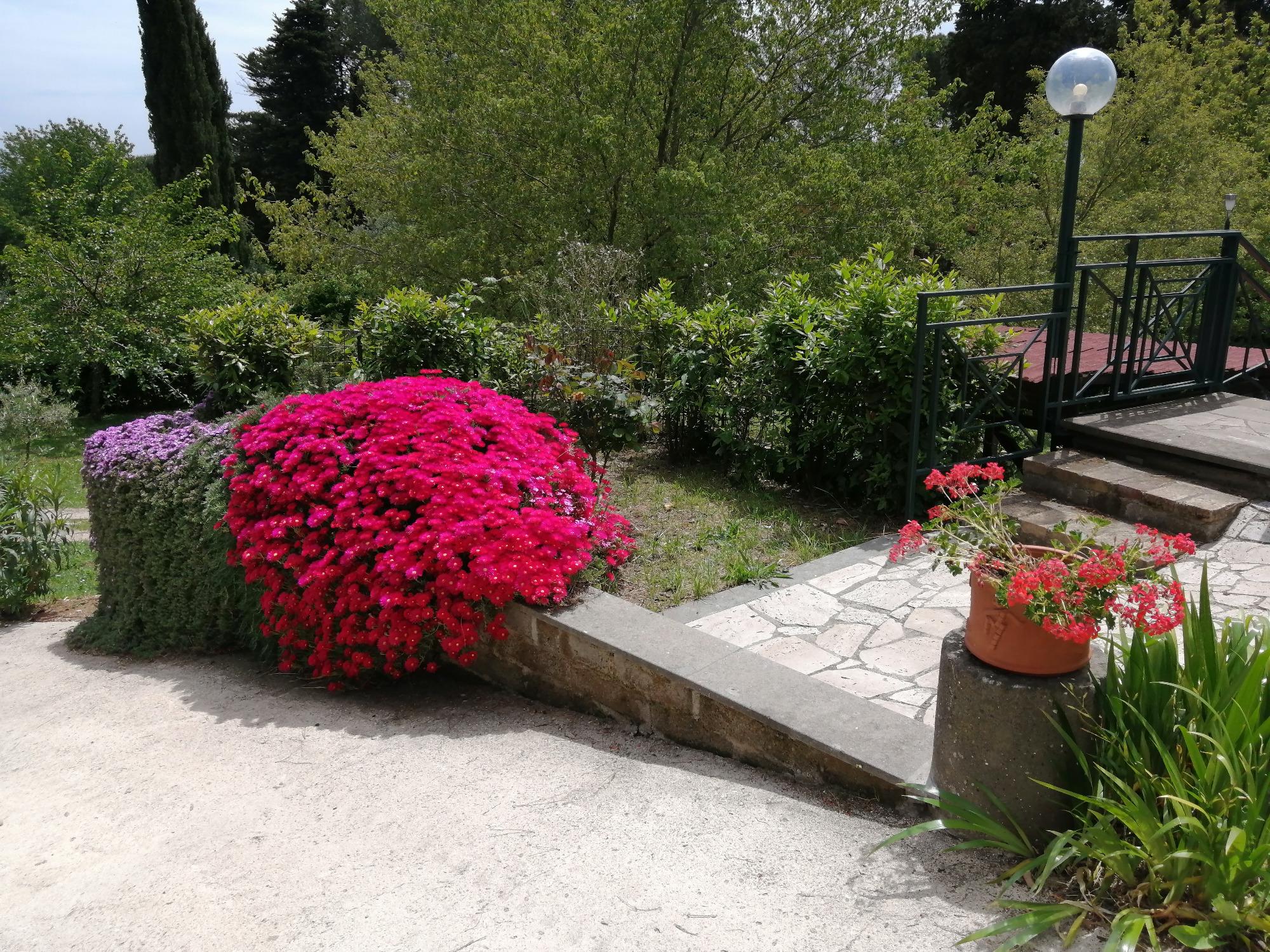 B&B Vigna dell'Agrifoglio foto 2