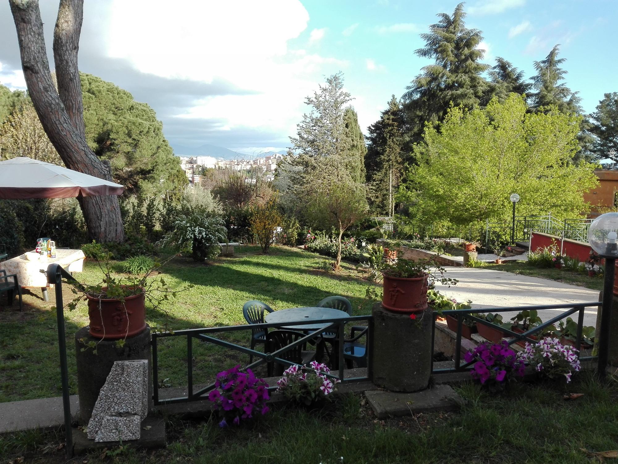 B&B Vigna dell'Agrifoglio foto 3