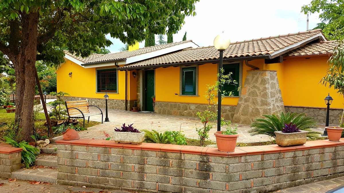La Camelia foto 3