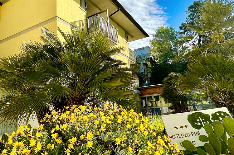 Hotel ai Pini - foto 1