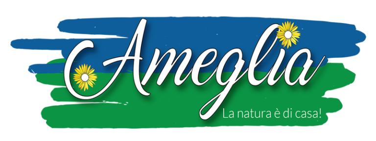B&B Ameglia foto 2