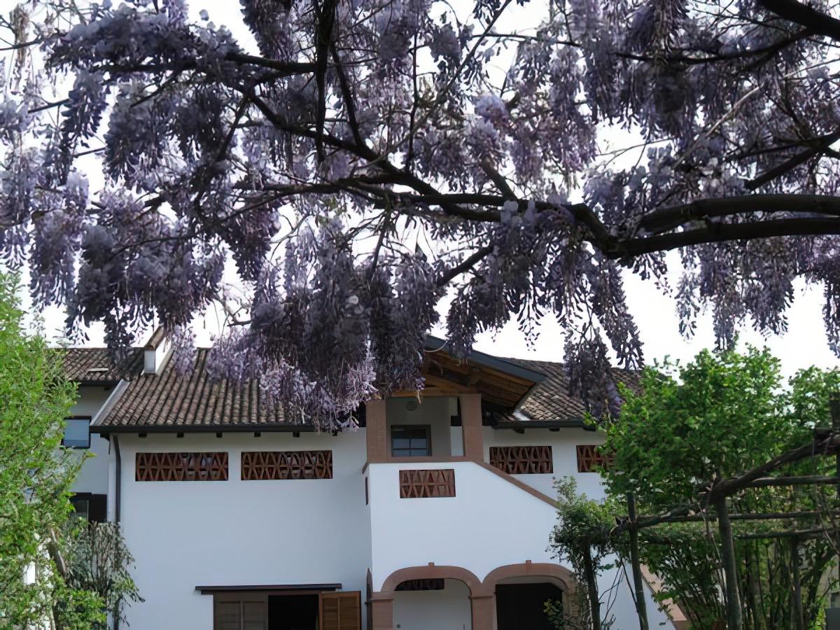 B&B Ai Glicini - foto 1