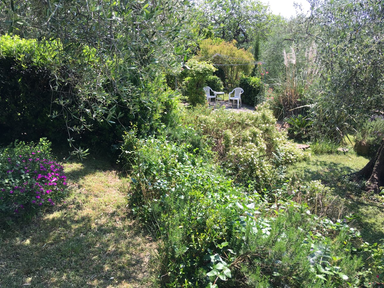 Agriturismo La Crosa - foto 2