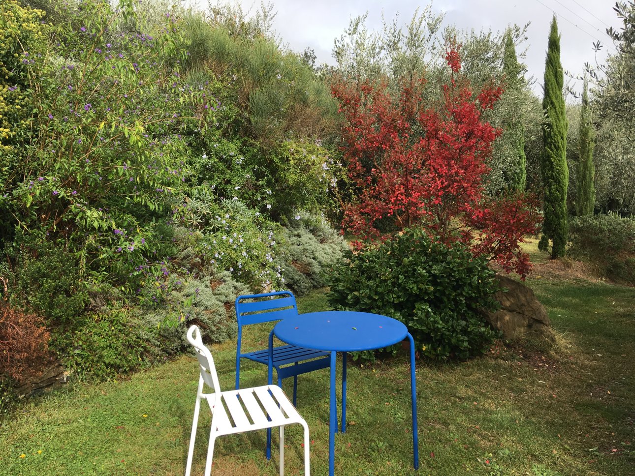 Agriturismo La Crosa - foto 5