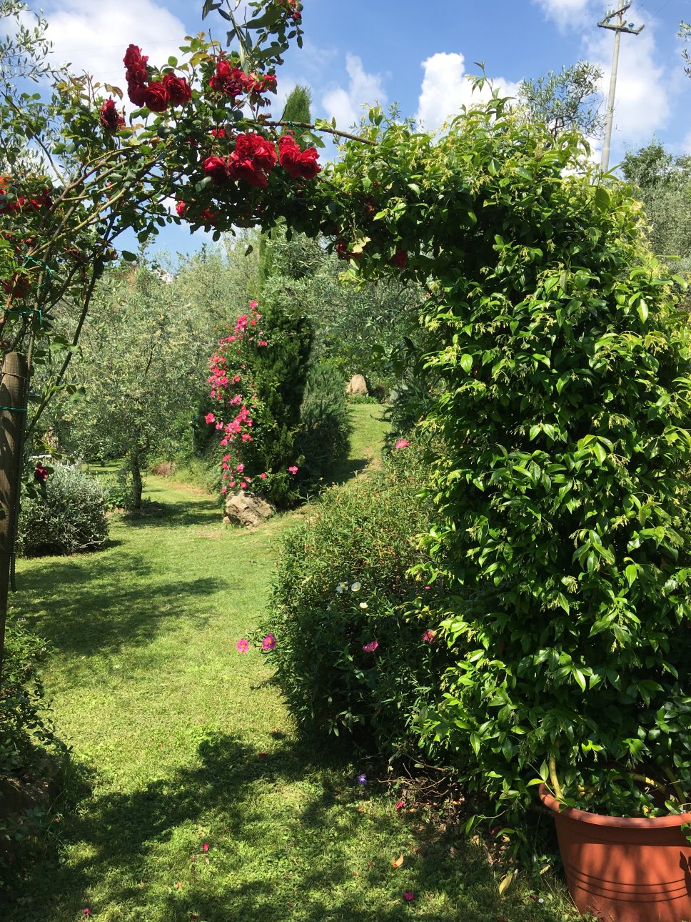 Agriturismo La Crosa - foto 6
