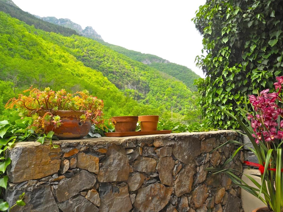 B&B Rossociliegia - foto 6