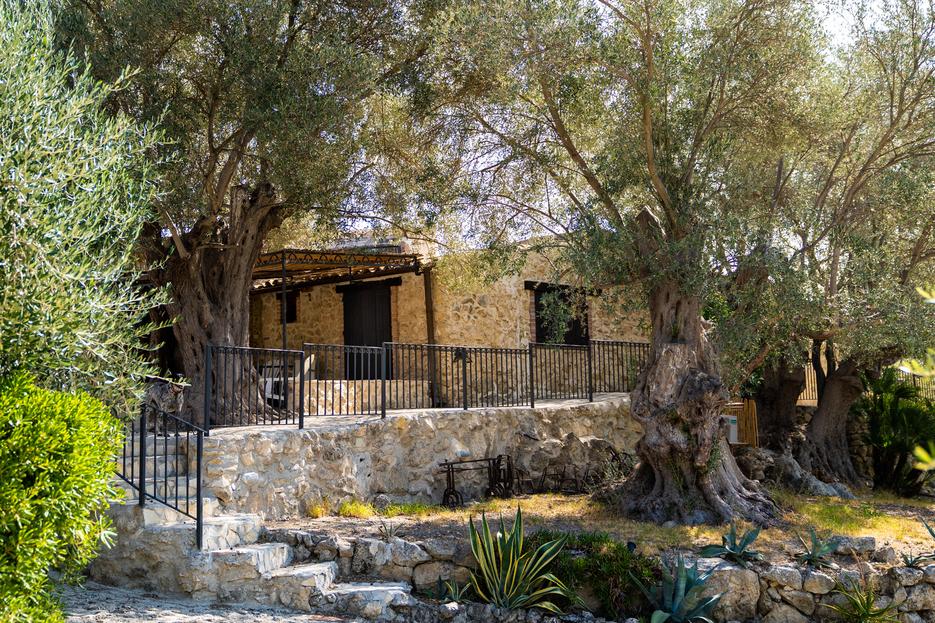 Bed And Breakfast Roba degli Ulivi foto 1