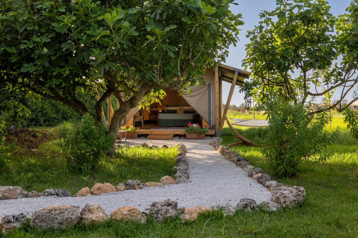 Tenuta DonnAnna Agriturismo&Glamping - foto 4