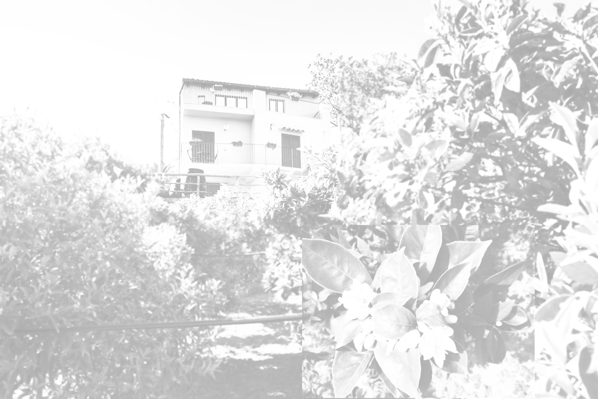 B&B Parco dei Templi - foto 2