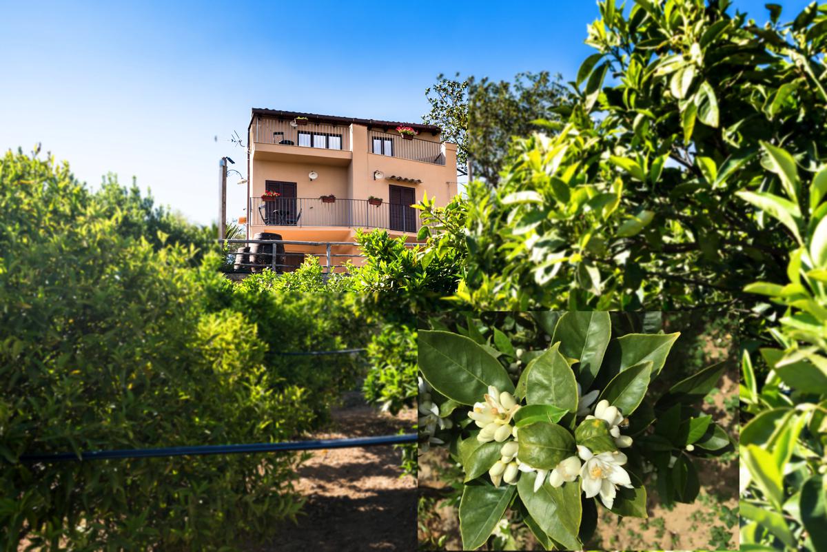 B&B Parco dei Templi - foto 6