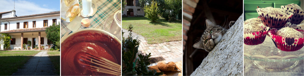B&B il Tubiá foto 4