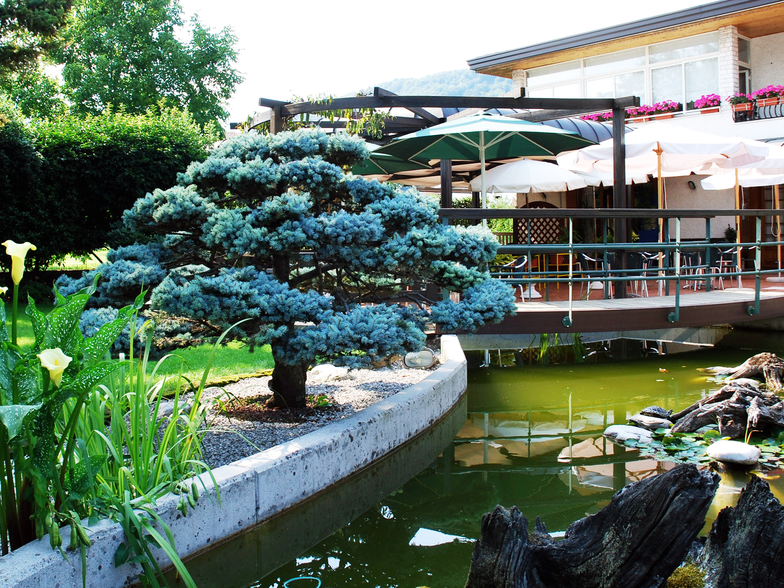 Hotel Al Giardino - foto 1