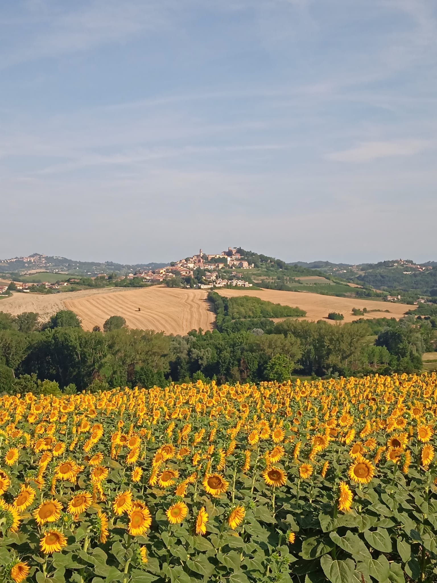 Bed & Breakfast Il Casale Via Generale Guasco 81, 14026 Colcavagno (AT) foto 1