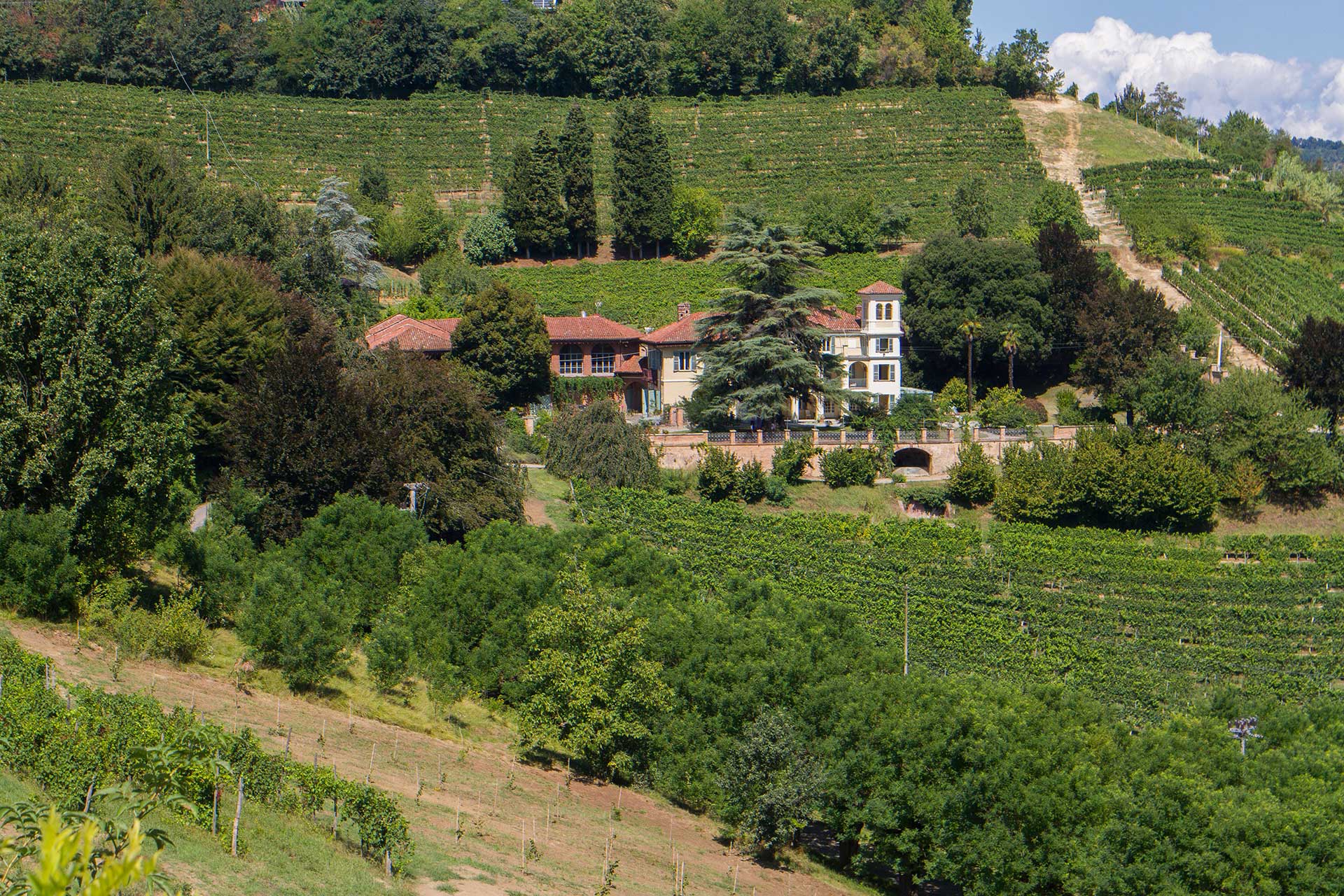 Tenuta Tamburnin foto 1