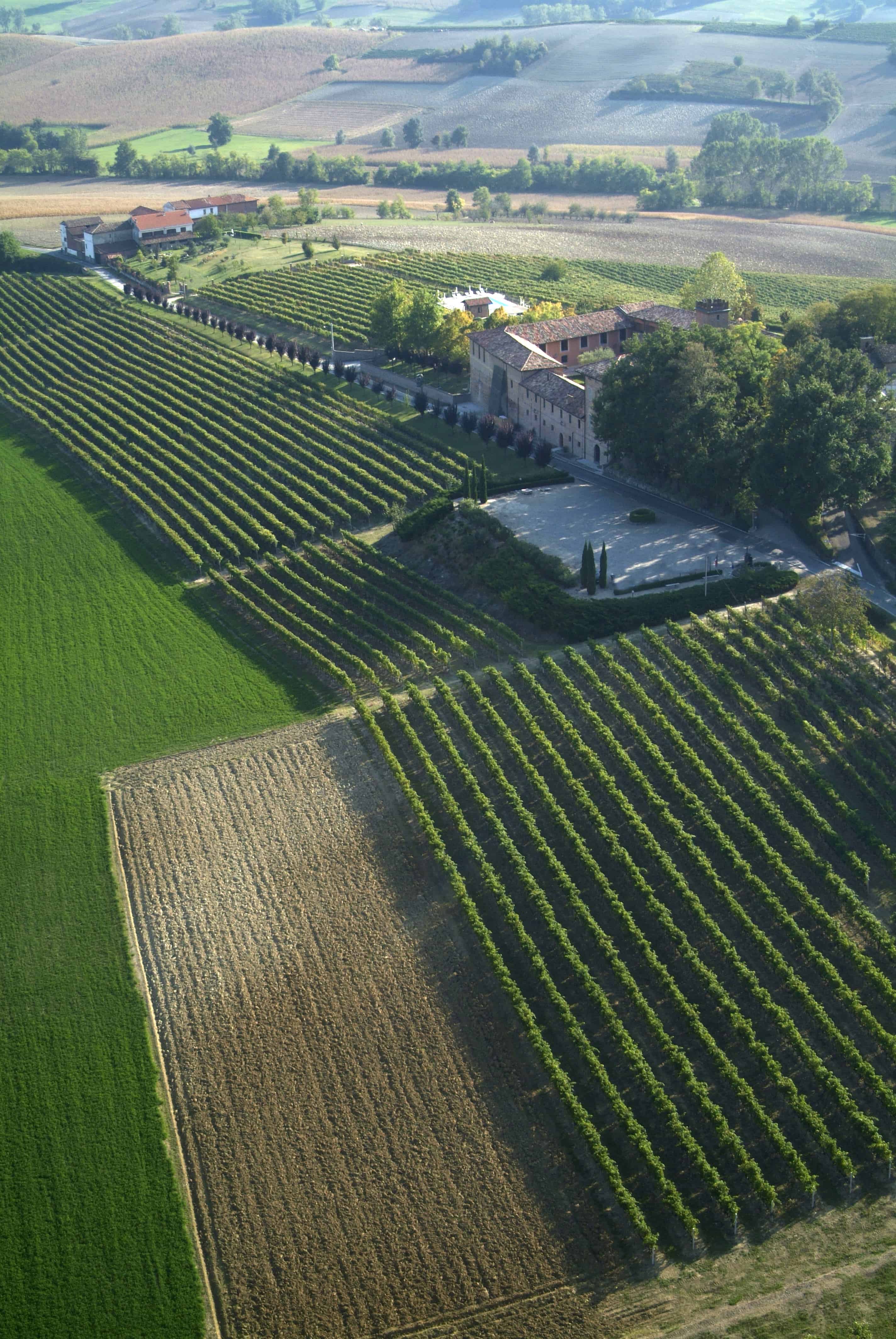 Castello di Razzano - Relais, Ristorante, Museo e Cantina - foto 4