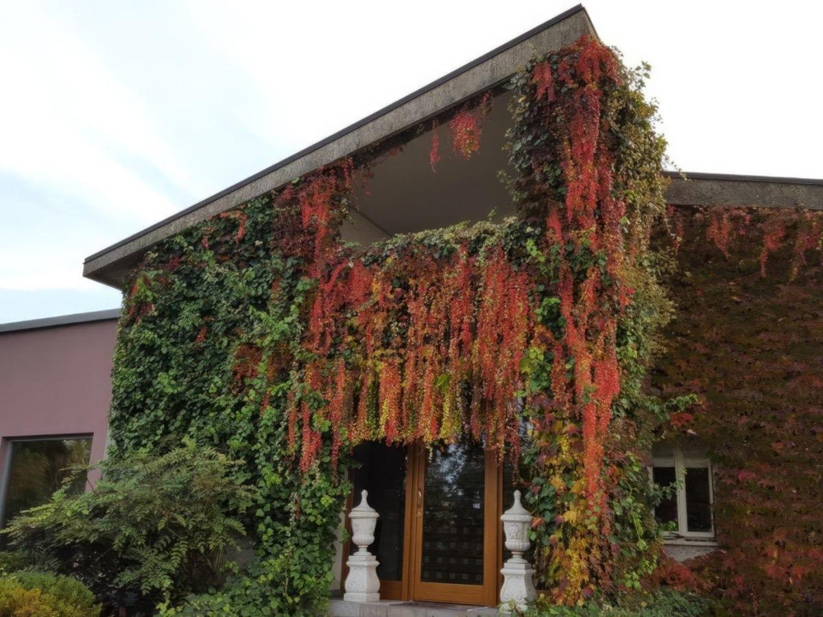 Villa Bedin foto 1