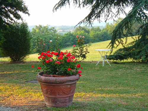 Cascina Barosca - foto 4