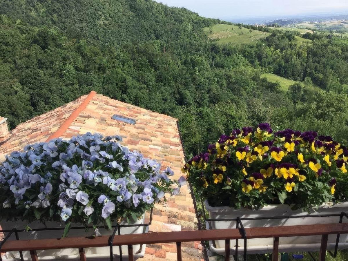 B&B Monferrato La Casa sui Tetti - foto 2