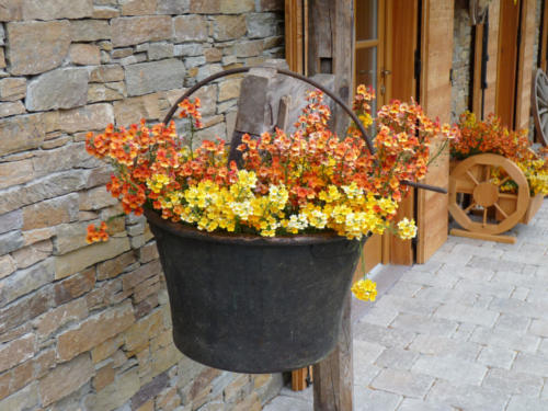 Agritur La Casa Nel Bosco - foto 1