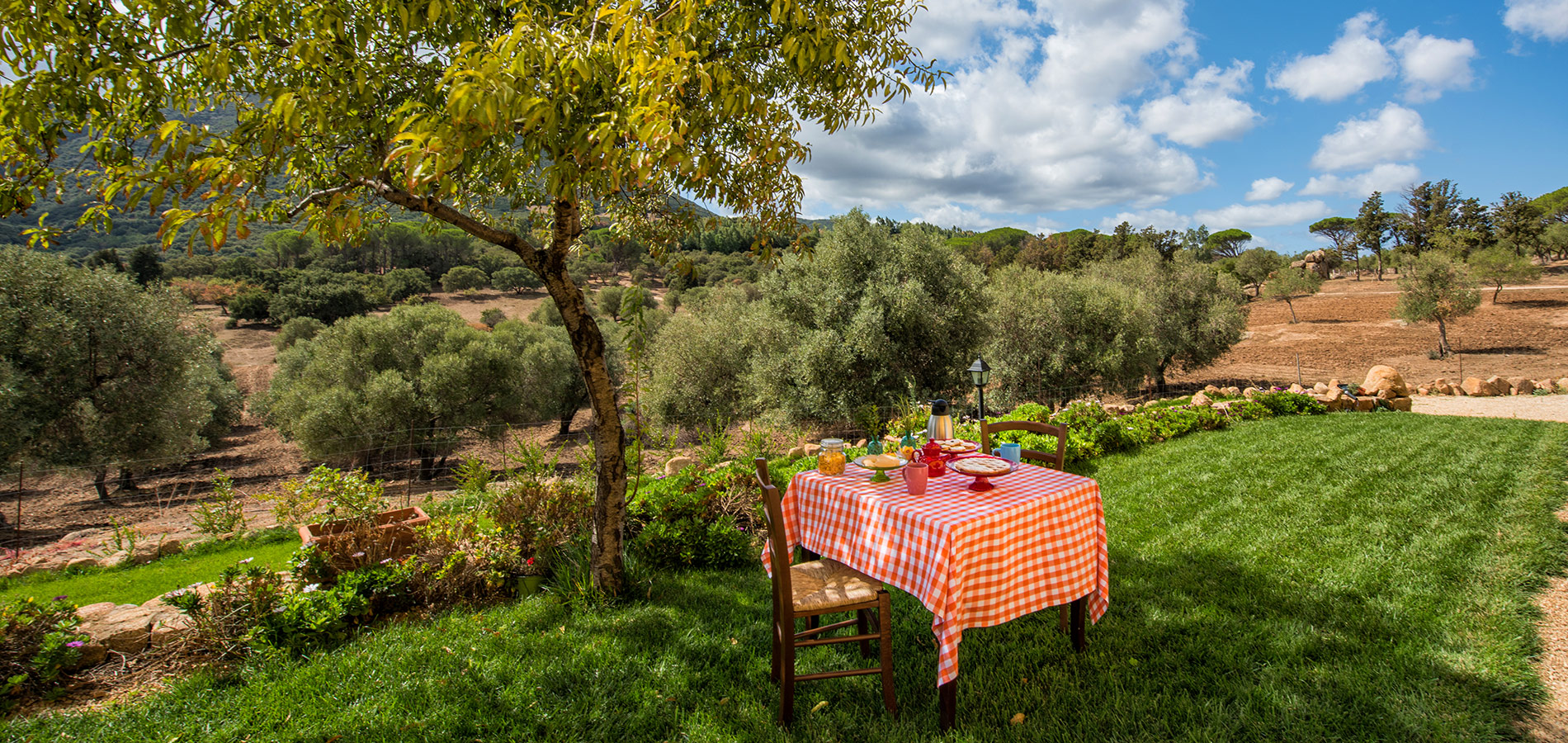 Agriturismo Is Conchisceddas Medio Campidano - Sardegna - foto 2