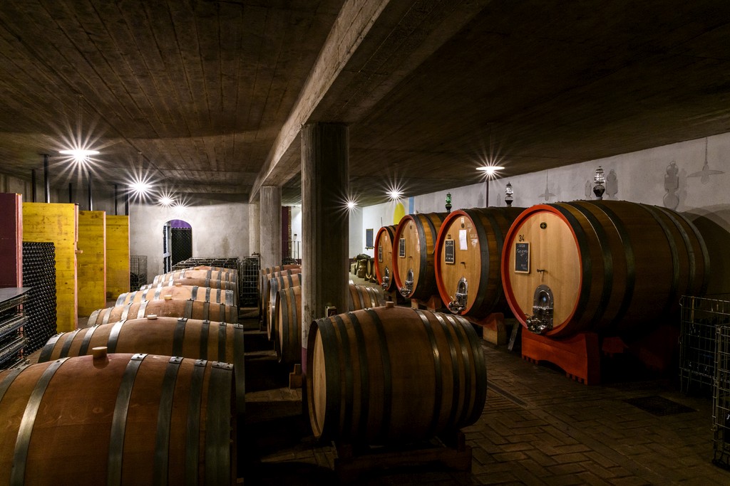 Anzivino - Viticoltori con Camere - foto 2