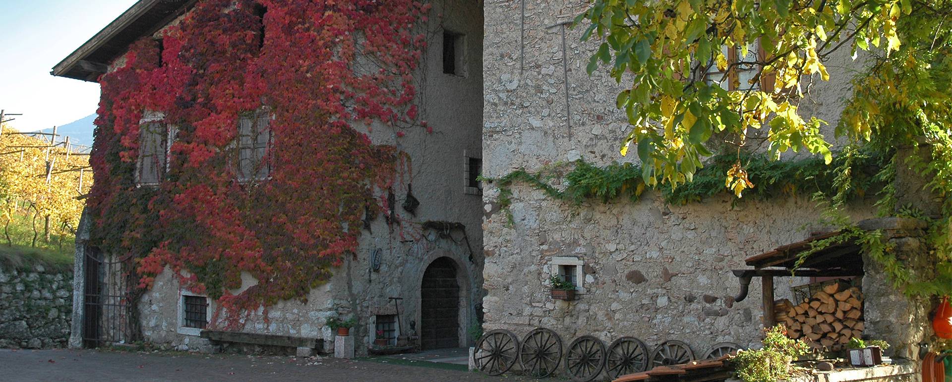 Maso Bergamini - foto 3