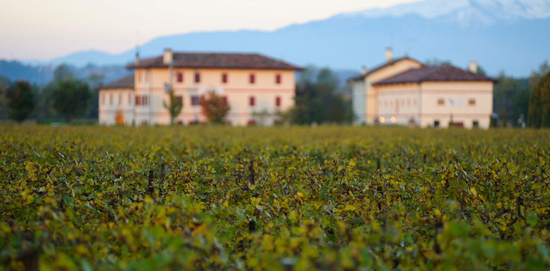 Negozio aziendale Borgoluce - foto 1
